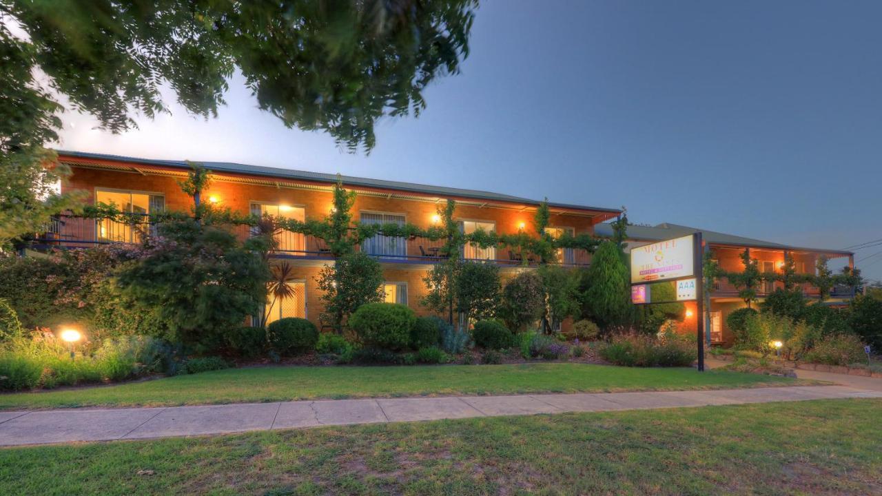 Motel The Vines & 4*
