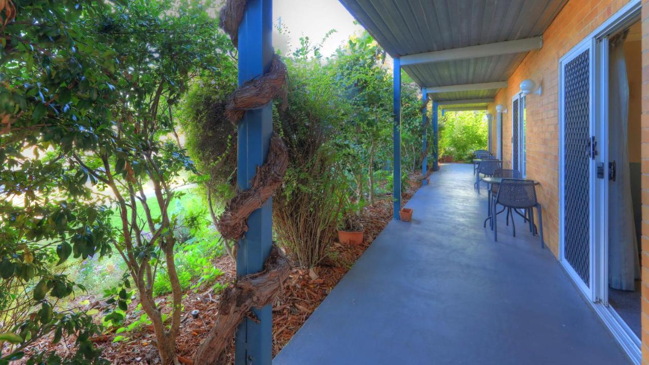 Motel The Vines &