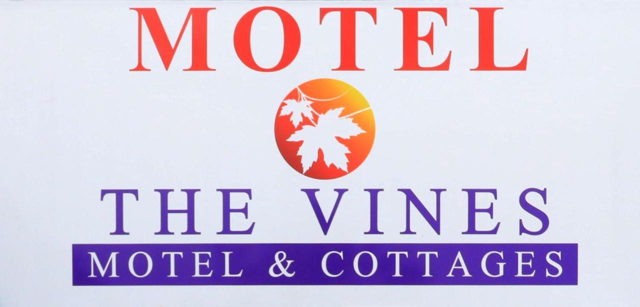 The Vines & Motel