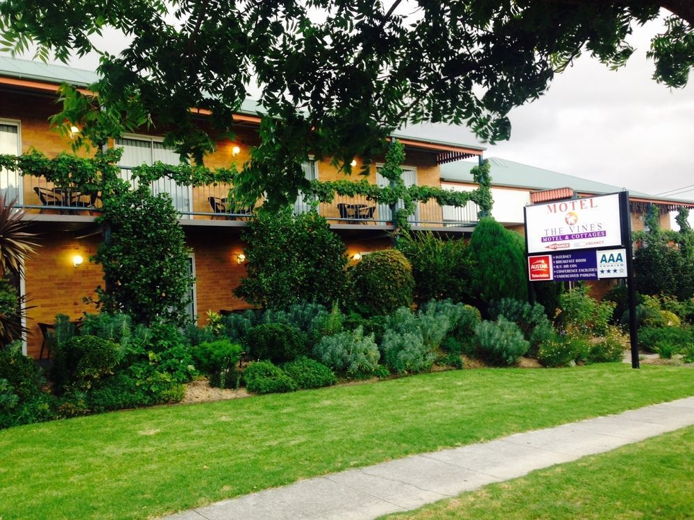 The Vines & Motel Stanthorpe