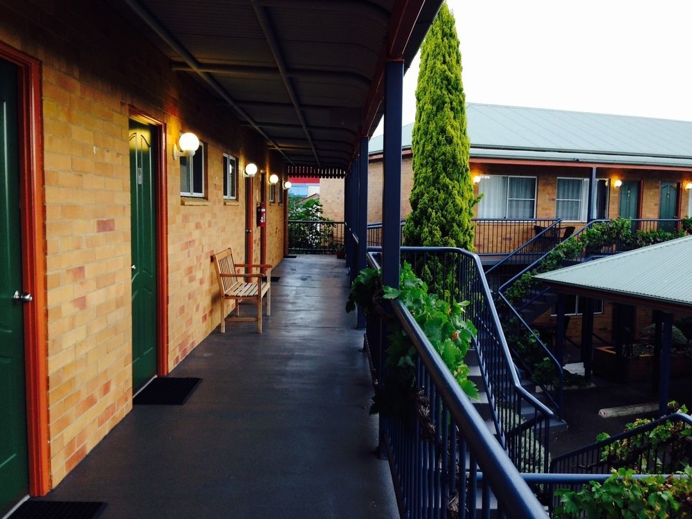The Vines & Motel