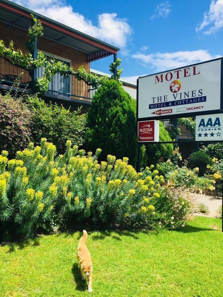 Motel The Vines & Stanthorpe