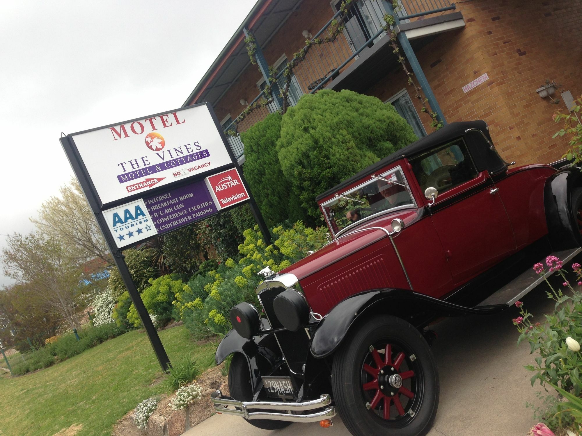 The Vines & Motel
